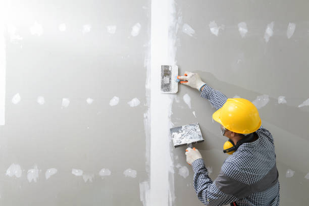 Best Mold Damage Restoration  in USA